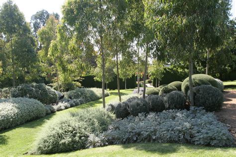 Discover the Beauty of Australia’s Native Garden at Royal Park