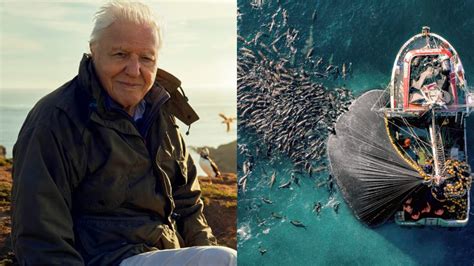 Sir David Attenborough's 'Planet Earth III' Is Now Streaming In Australia