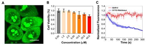 Development of a Highly Selective and Sensitive Fluorescent Probe for ...