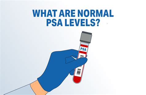 Image result for Normal Prostate Levels