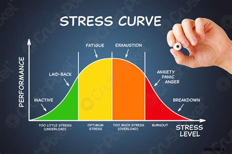 Image result for Muscle Stress Graph