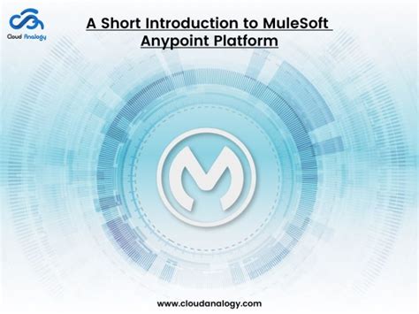 Image result for MuleSoft Any Point Platform