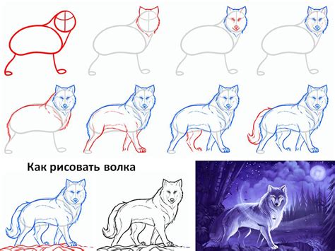 Как нарисовать волка поэтапно