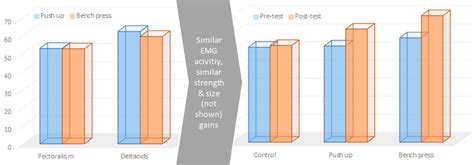 Image result for Muscle Activity EMG