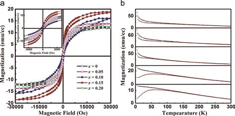 Magnetization 的图像结果