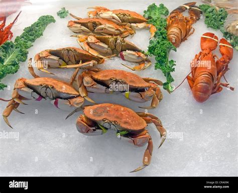 Snow crabs and lobsters on ice in the seafood market Stock Photo - Alamy