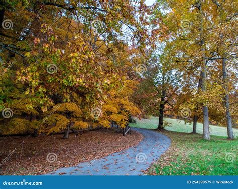 Nature View 的图像结果