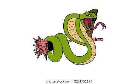 Image result for Python Wrapping Itself around Prey