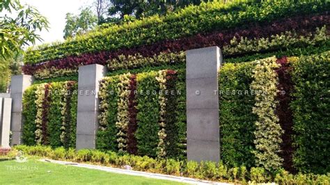 Vertical Gardening - Tresgreen Technology | Rental Vertical Gardening ...