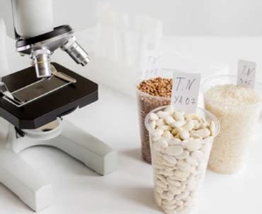 Leader in Warehouse Management, Agriculture Financing, Collateral ...