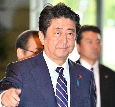 日本首相是如何选出来的？_澎湃新闻-The Paper