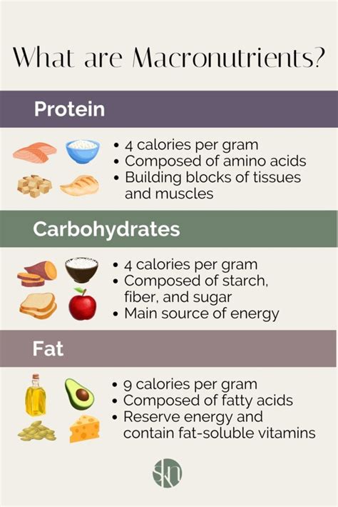 Image result for Macronutrients Examples