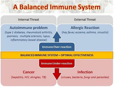 โรคที่เกิดจากการภูมิคุ้มกันผิดปกติ | Immune system, Cancer prevention ...