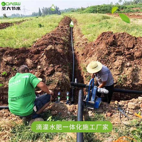 济南已完成农田春灌170.42万亩 其中引黄灌溉81.25万亩