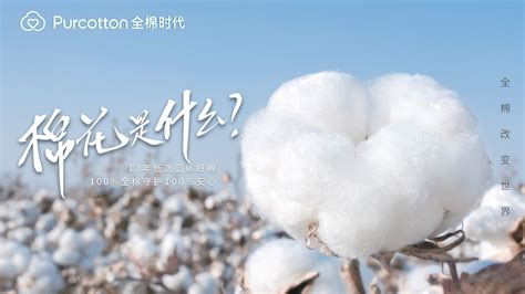 一朵棉花改变世界，全棉时代用溯源种下安心的种子-中国经营网