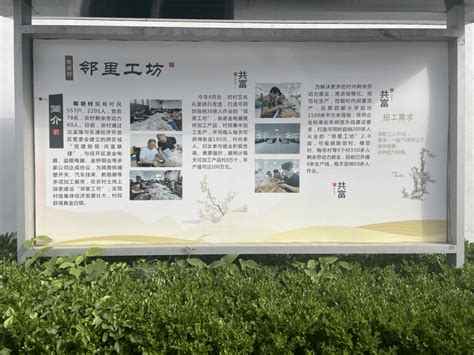 元成茂来温调研“共富工坊”建设和商协会党建工作_温州市_招工_企业