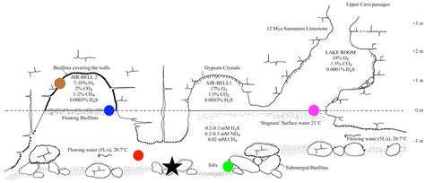 Microbial Ecosystems in Movile Cave: An Environment of Extreme Life