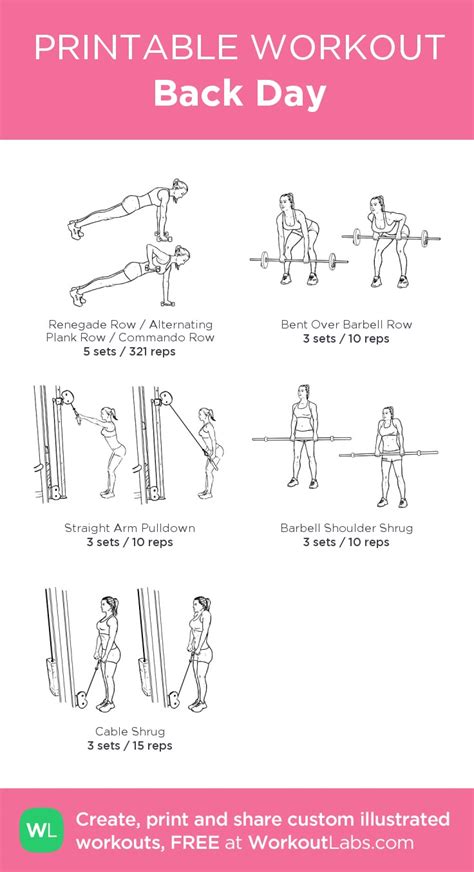 Image result for Workout Back Routine