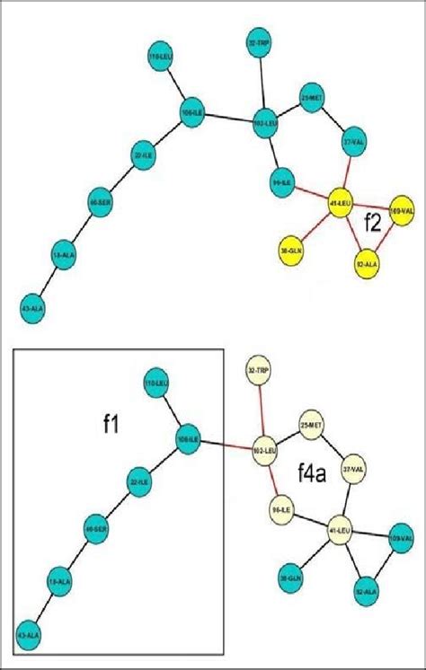 Build Contact of Network 的图像结果