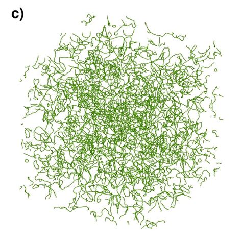 Image result for Quantum Vortex