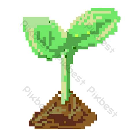 Green Sprout Plant Pixel Painting PNG Images | PSD Free Download - Pikbest