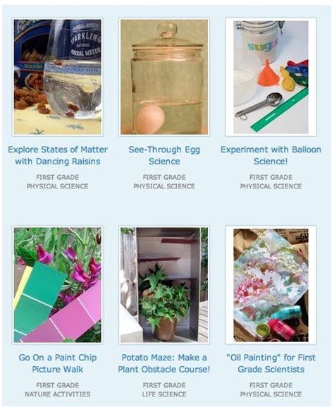 First Grade Science Fun 的图像结果