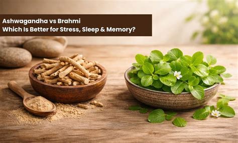 Confused Between Brahmi & Ashwagandha? Here’s the Simple Guide You Need ...
