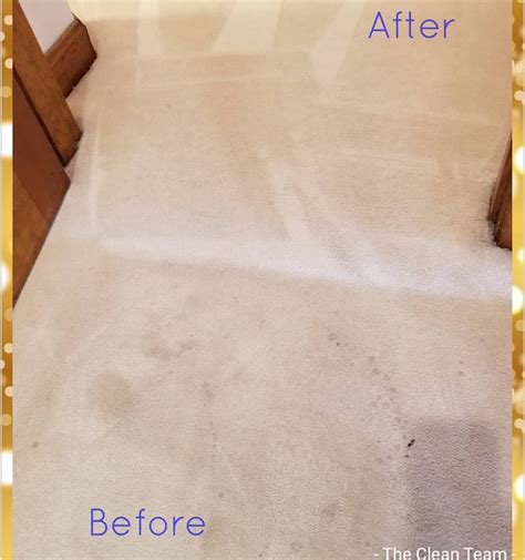 floor tile removal tool rental - Mauricio Zamora