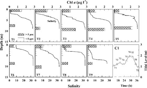 Vertical profiles of salinity and chl a size fractions (45 and o5 mm ...