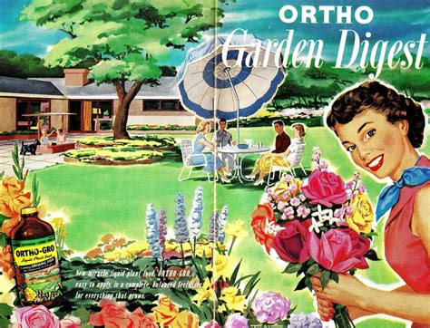 Image result for Irish Spring Ads