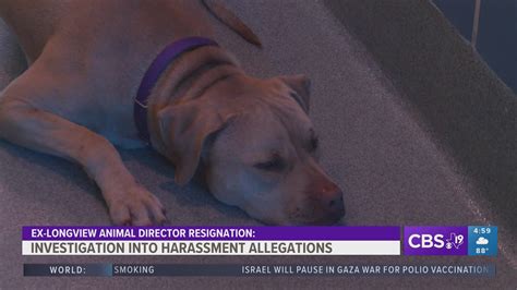 Ex-Longview animal shelter director resigned amid harassment ...