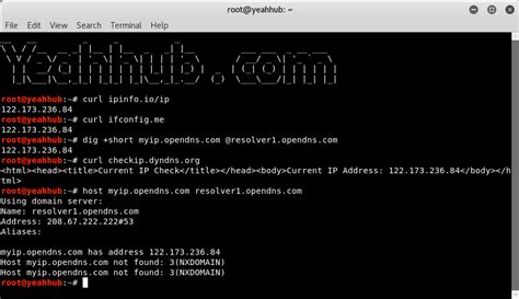 Image result for Awk Command to Get IP Address