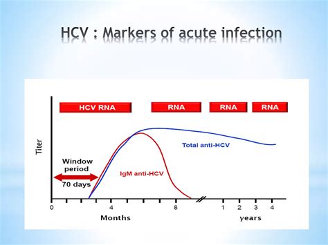 Image result for Nucleic Acid Amplification Test Explained