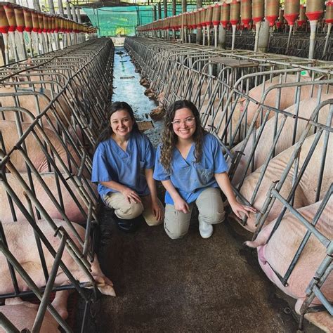 Grupo D (@internadomv2024) • Instagram photos and videos