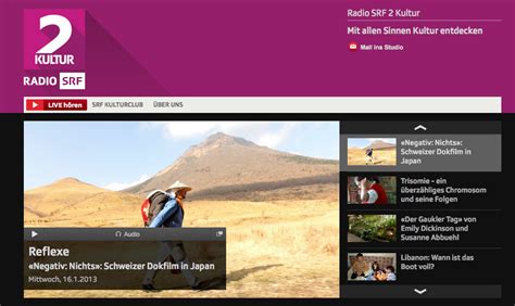 Image result for SRF Programm