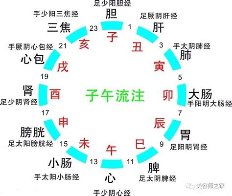 中医养生海报平面广告素材免费下载(图片编号:4745885)-六图网