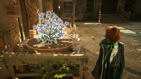 How to unlock and use the Room of Requirement in Hogwarts Legacy - Dexerto
