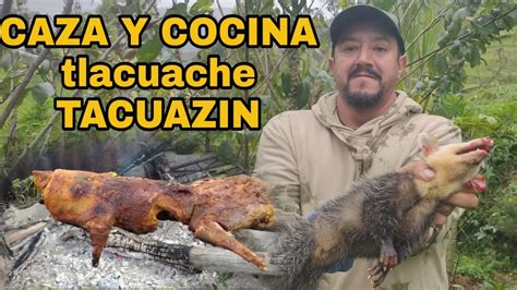 Que Es Un Tacuazin at Randy Stambaugh blog