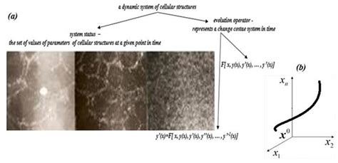 Image result for Dynamic Structures