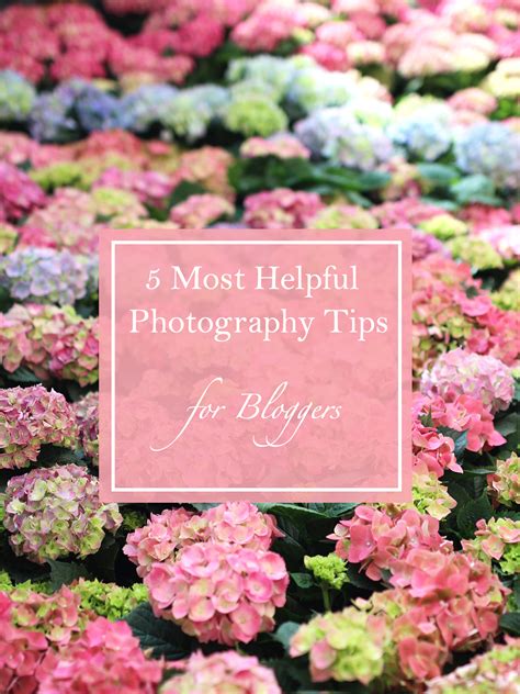 Photography Tips 的图像结果