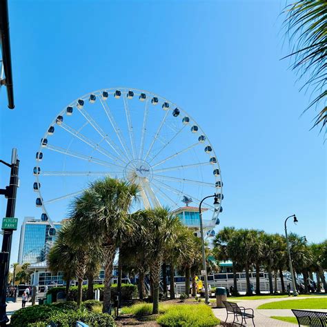 PLYLER PARK - All You Need to Know BEFORE You Go 2026 (with Photos ...