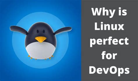 Linux for DevOps 的图像结果