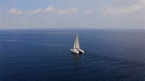 Image result for Clearing House Transcripts Request