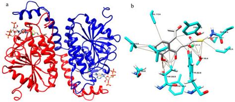 Identification of a Reaction Intermediate and Mechanism of Action of ...