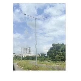 Image result for Lightning Protection System Testing Pole