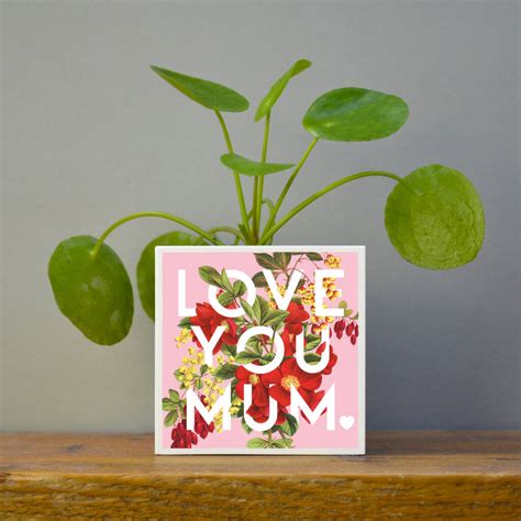 'Love You Mum' Mother's Day Plant Pot And Houseplant By Hands & Hearts