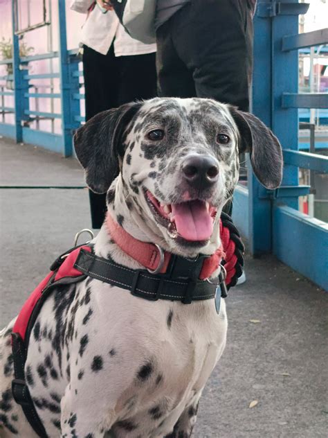 Image result for Infinix Note 40 Pro  Unboxing