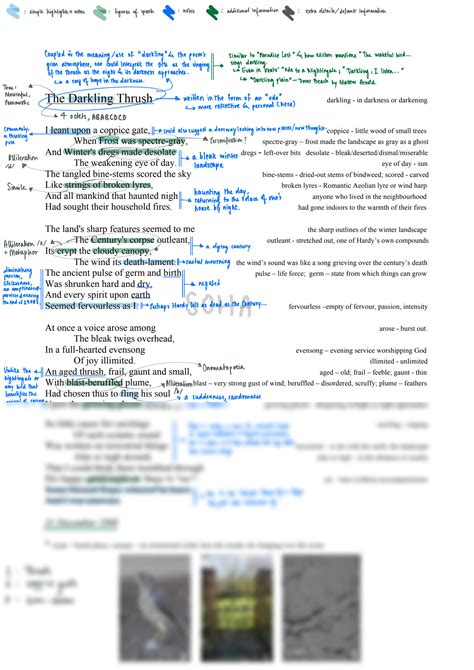 SOLUTION: Thomas hardy the darkling thrush and the ruined maid notes ...