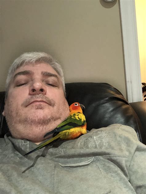 Sun Conure always insists on sleeping in the crook of my neck. Had her ...