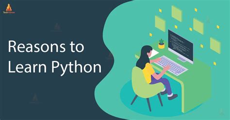 Why Learn Python 的图像结果